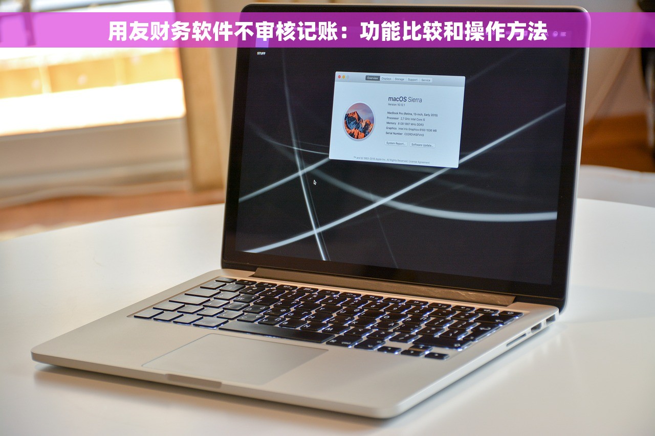 用友财务软件不审核记账：功能比较和操作方法
