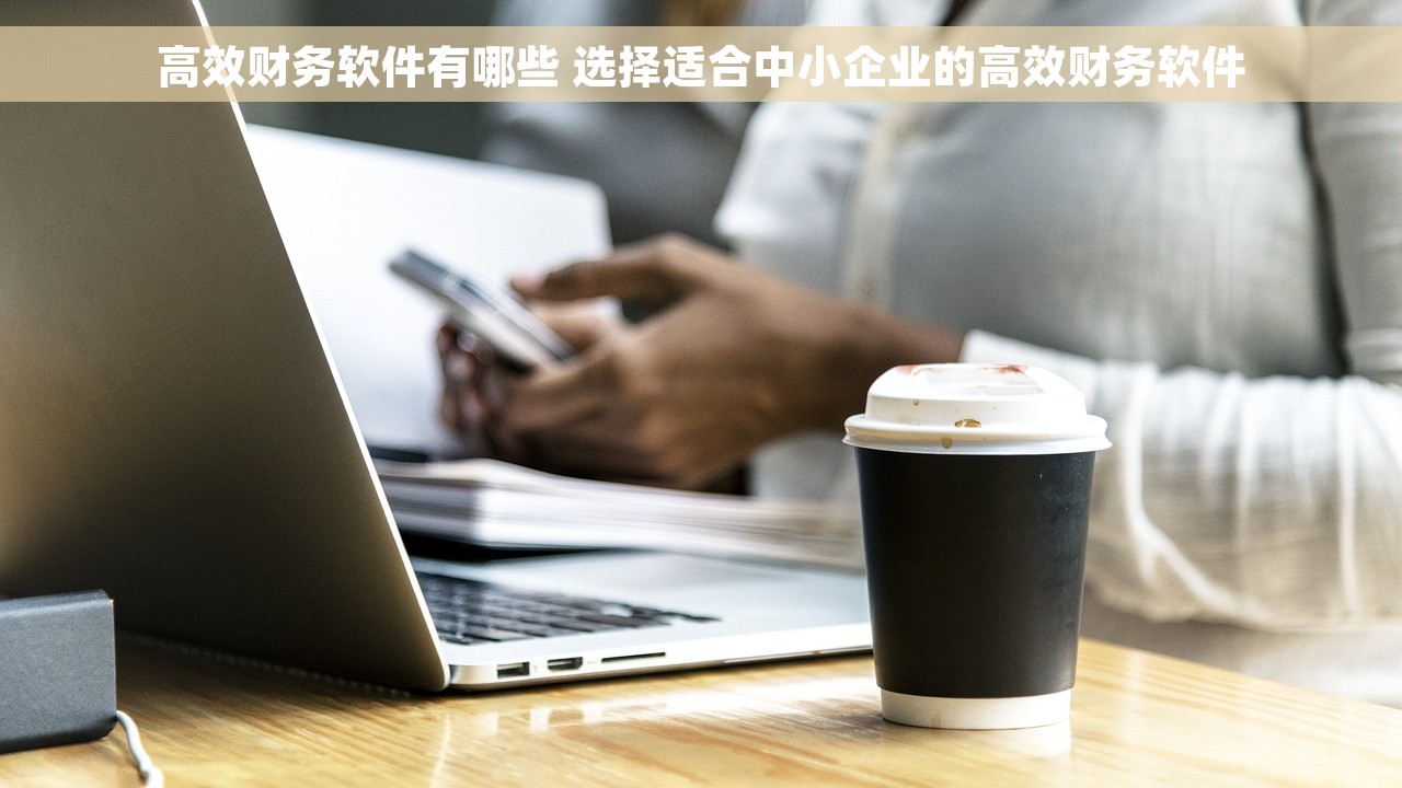 高效财务软件有哪些 选择适合中小企业的高效财务软件
