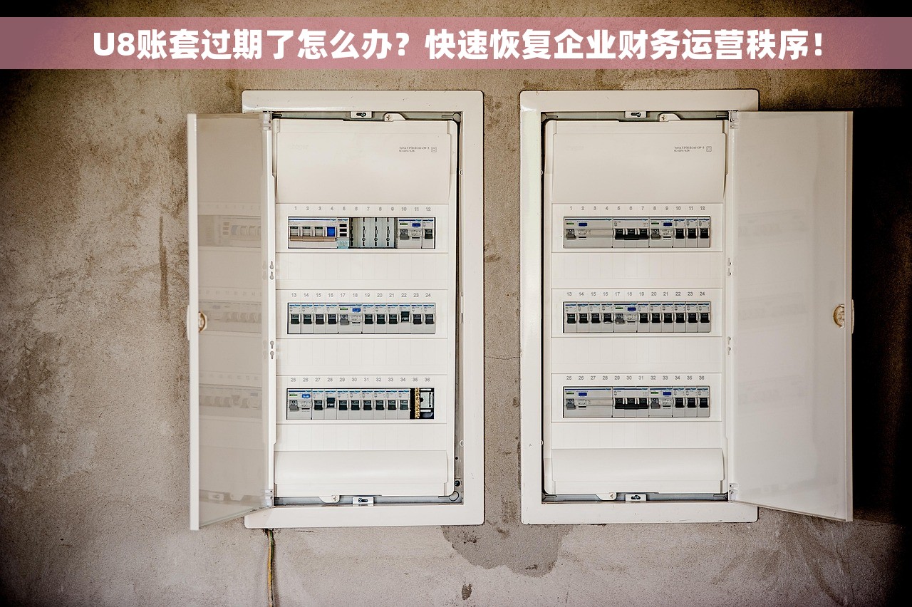 U8账套过期了怎么办？快速恢复企业财务运营秩序！