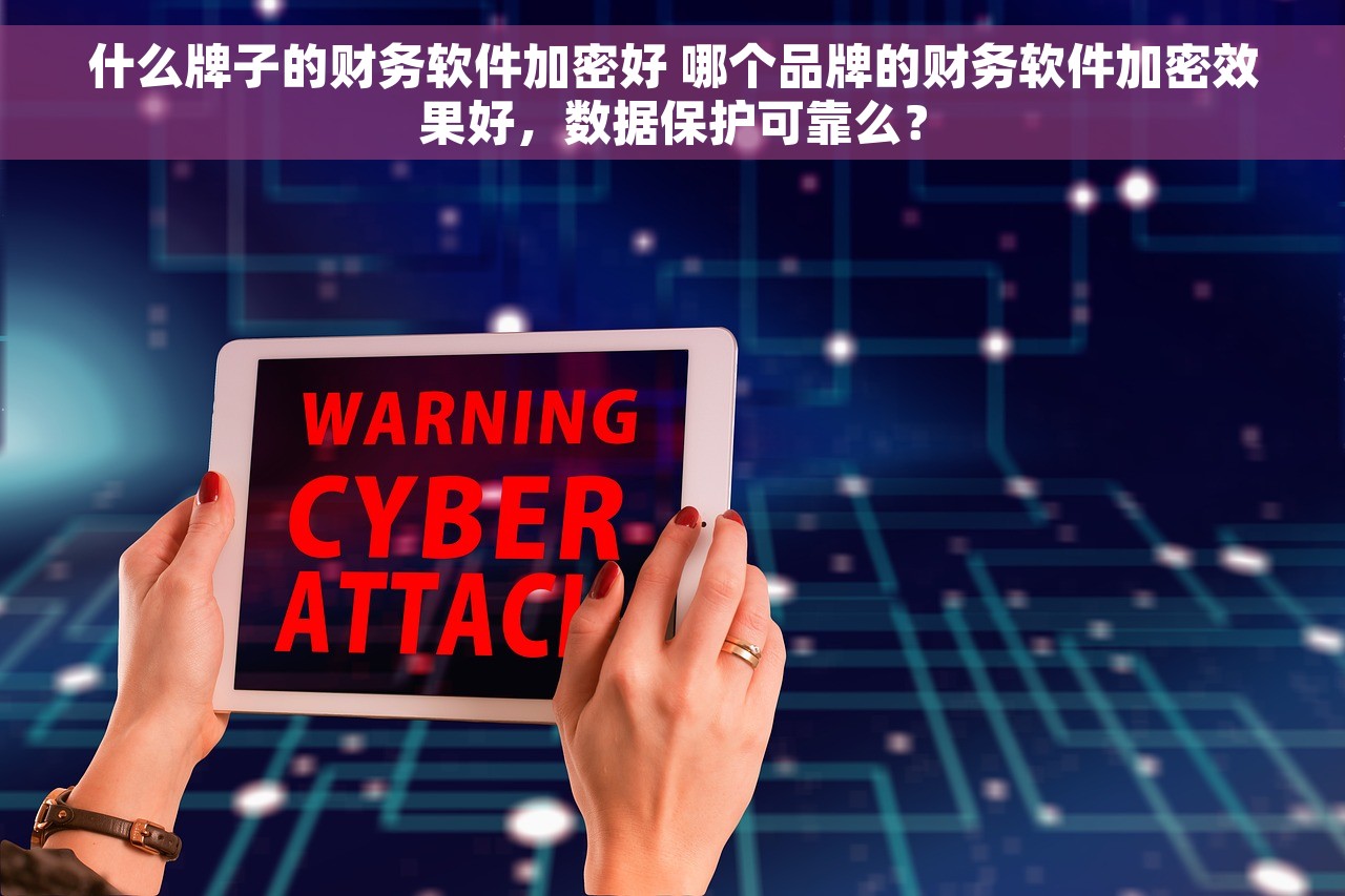 什么牌子的财务软件加密好 哪个品牌的财务软件加密效果好，数据保护可靠么？