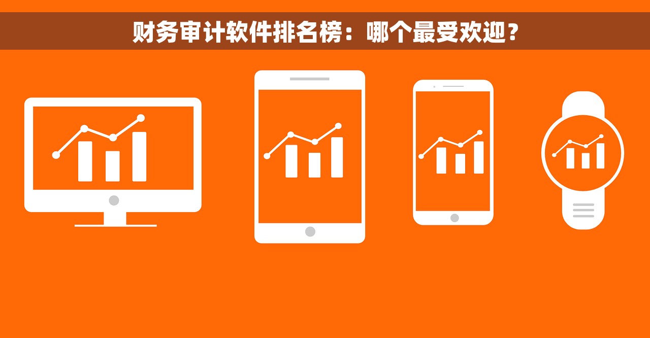 财务审计软件排名榜：哪个最受欢迎？