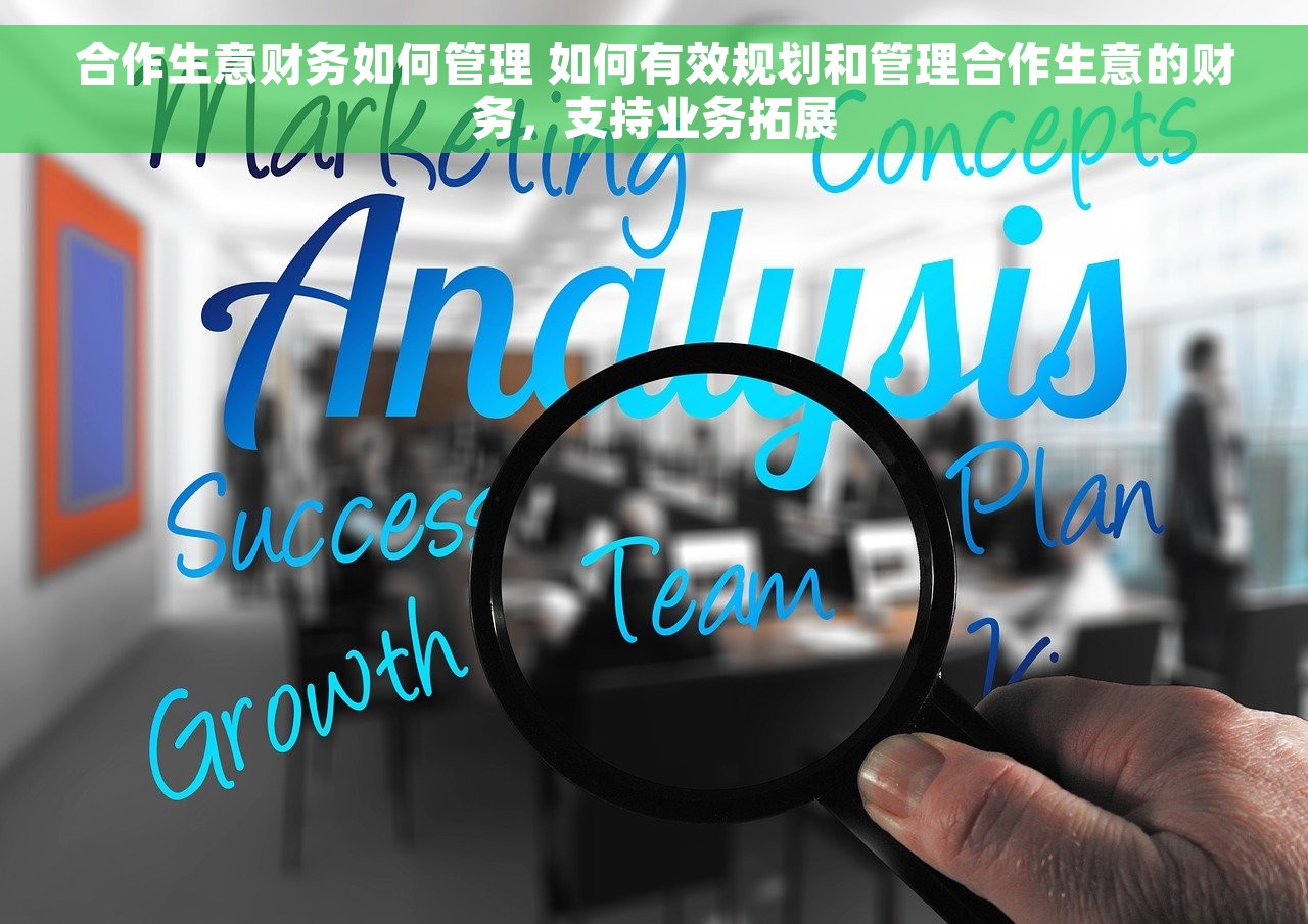 合作生意财务如何管理 如何有效规划和管理合作生意的财务，支持业务拓展