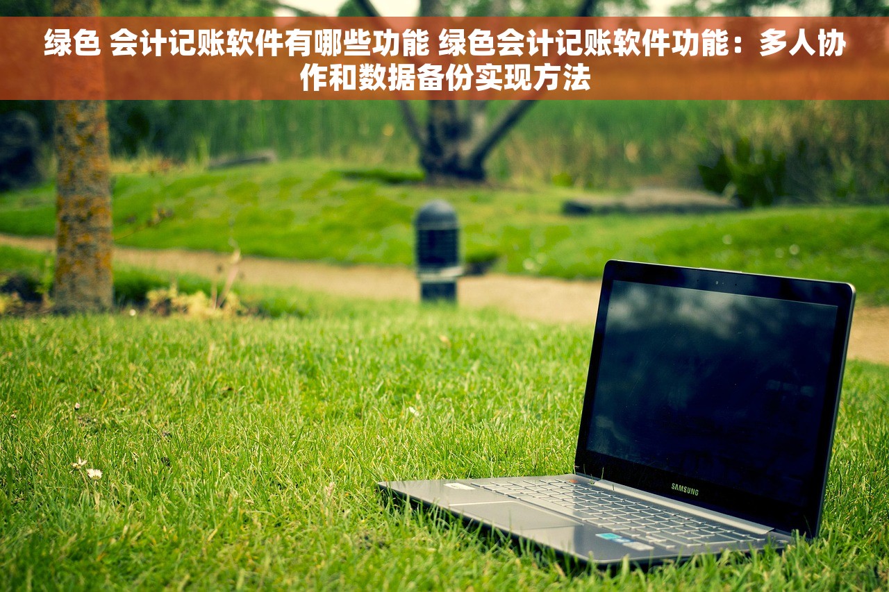 绿色 会计记账软件有哪些功能 绿色会计记账软件功能：多人协作和数据备份实现方法