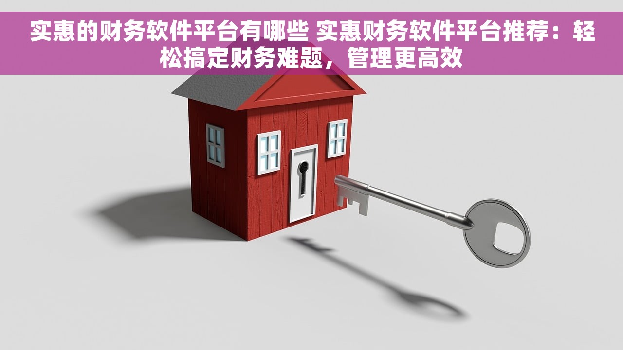 实惠的财务软件平台有哪些 实惠财务软件平台推荐：轻松搞定财务难题，管理更高效