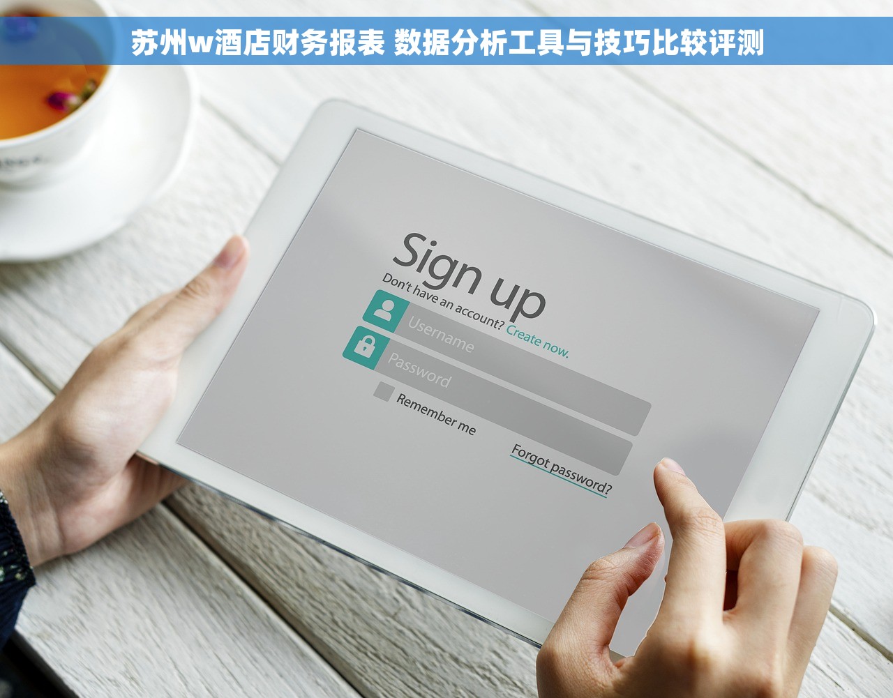 苏州w酒店财务报表 数据分析工具与技巧比较评测