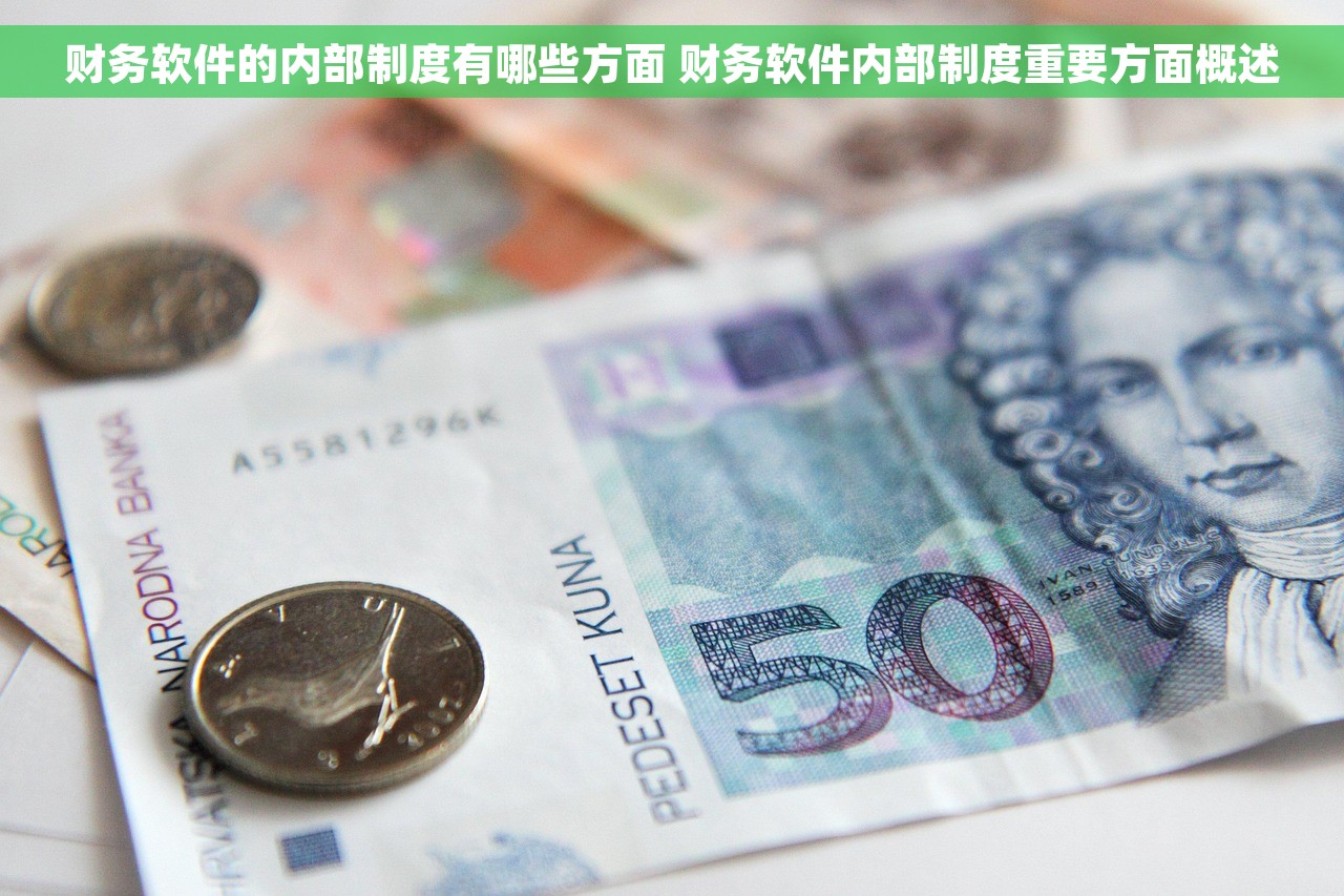 财务软件的内部制度有哪些方面 财务软件内部制度重要方面概述