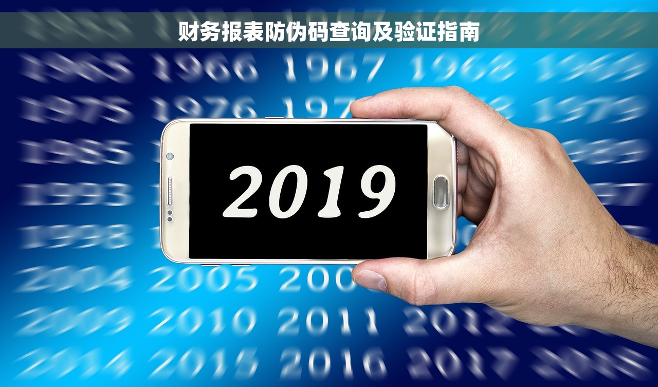 财务报表防伪码查询及验证指南
