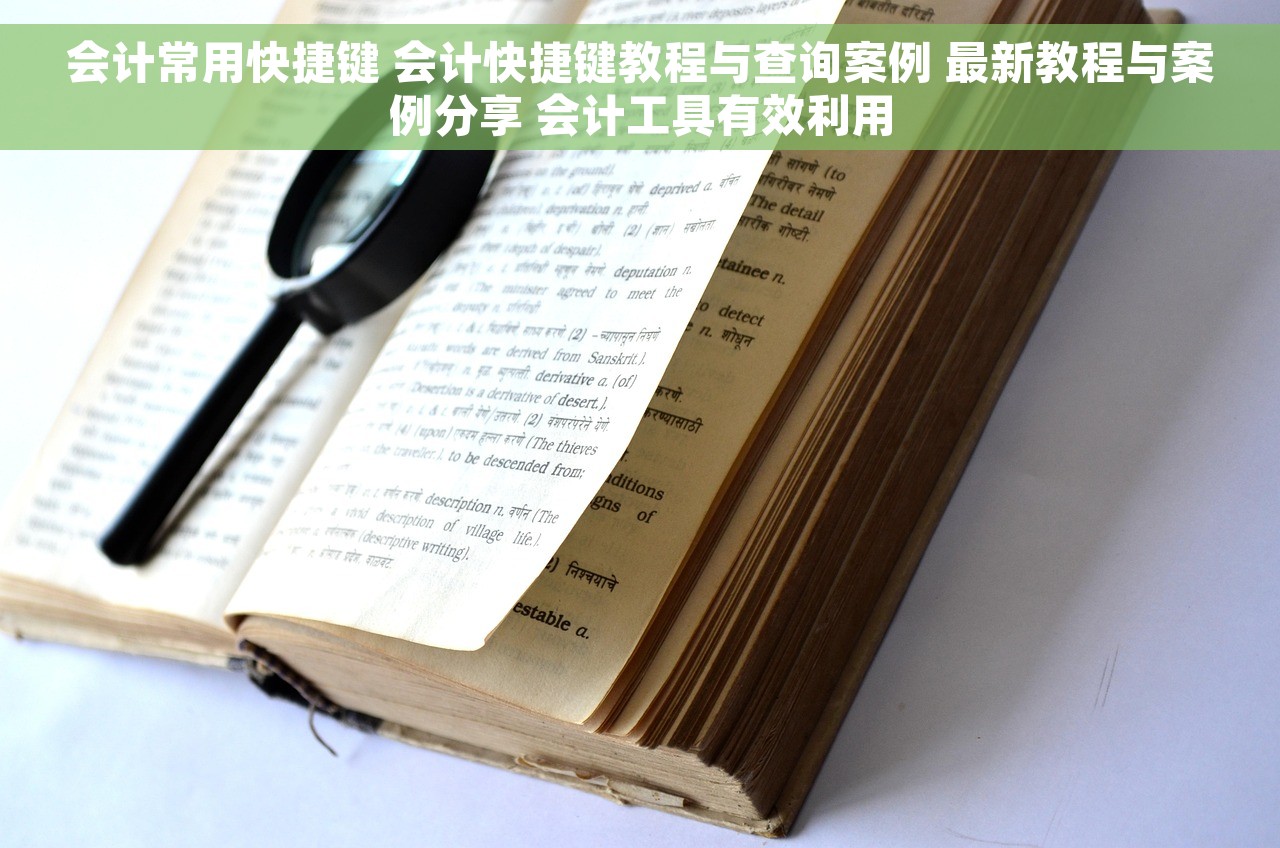 会计常用快捷键 会计快捷键教程与查询案例 最新教程与案例分享 会计工具有效利用