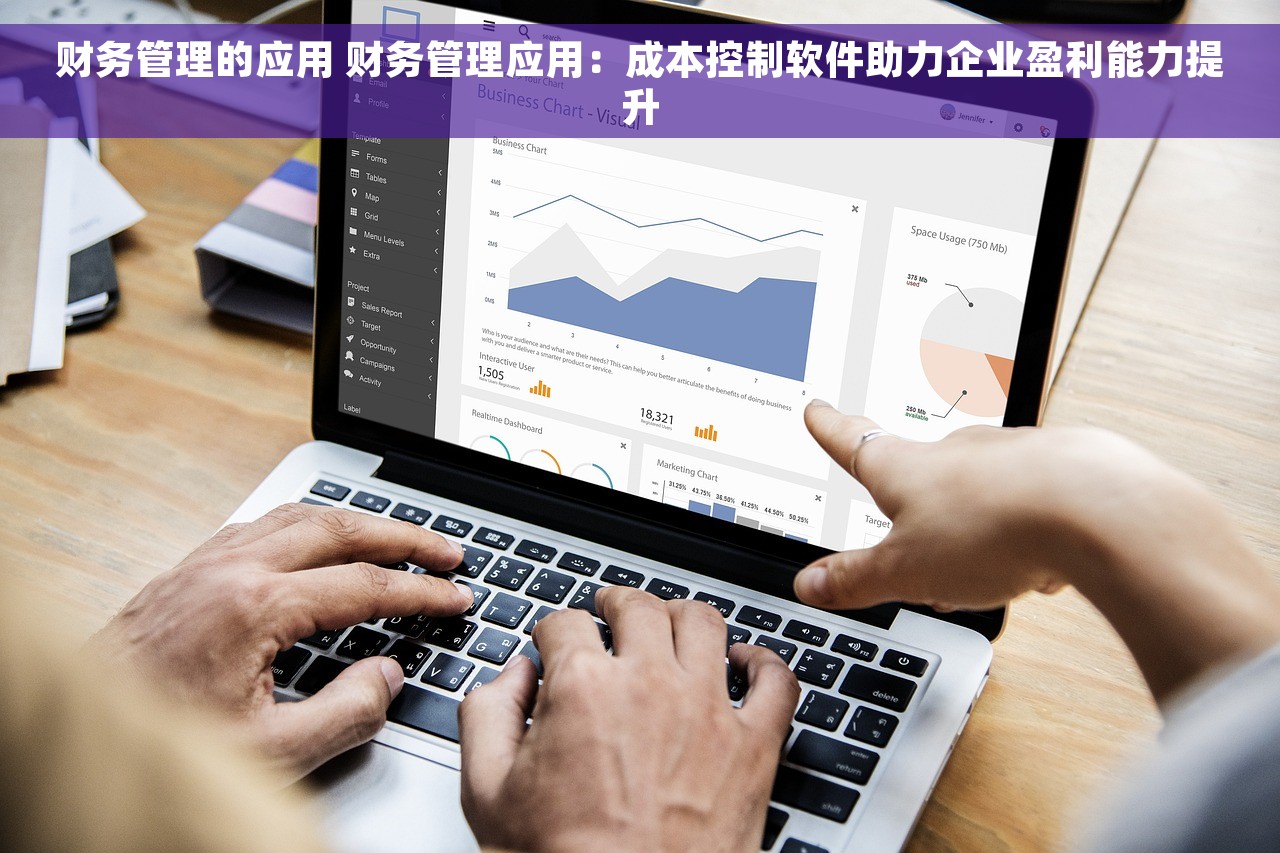 财务管理的应用 财务管理应用：成本控制软件助力企业盈利能力提升
