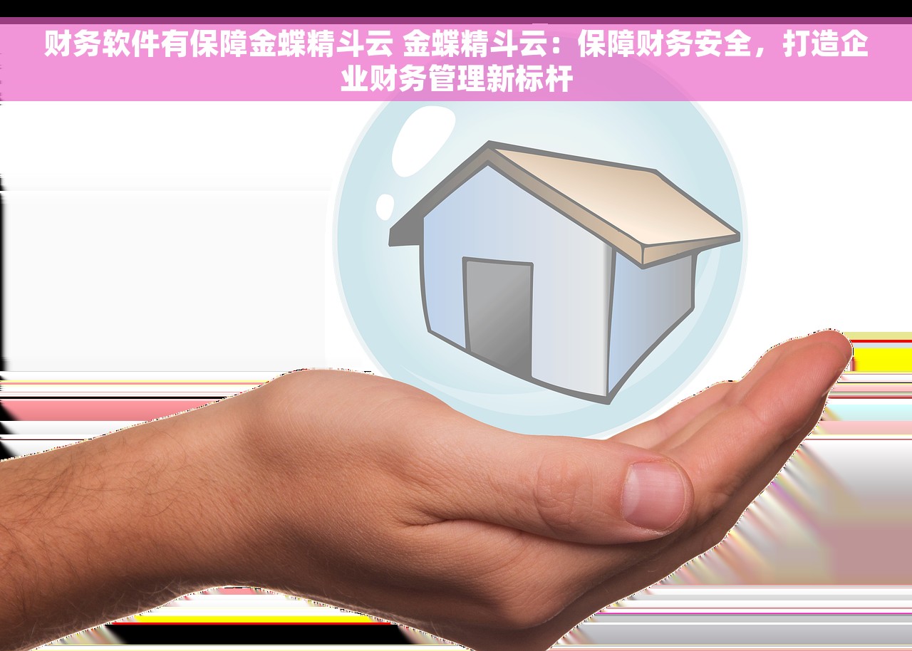 财务软件有保障金蝶精斗云 金蝶精斗云：保障财务安全，打造企业财务管理新标杆