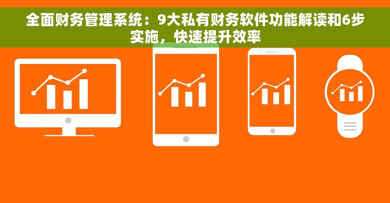 全面财务管理系统：9大私有财务软件功能解读和6步实施，快速提升效率