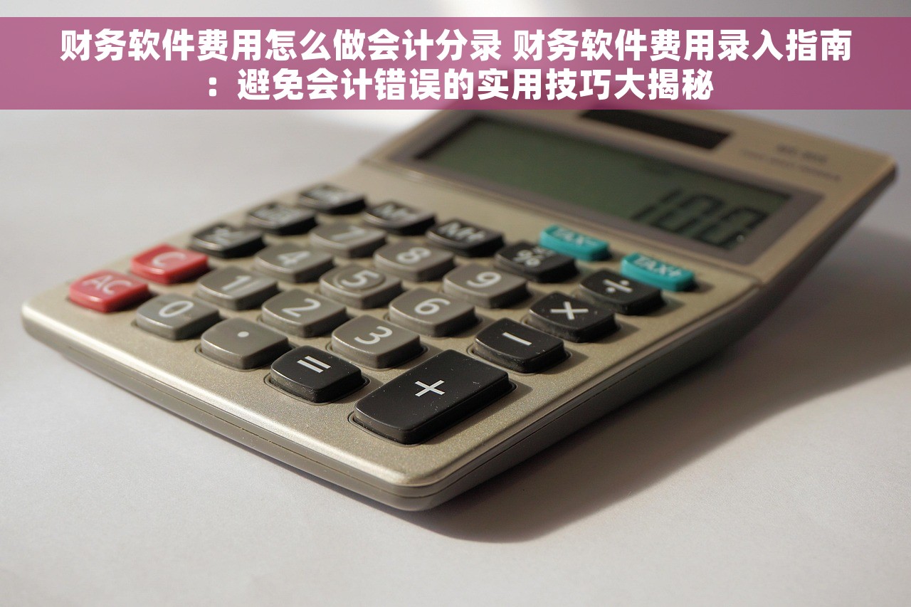 财务软件费用怎么做会计分录 财务软件费用录入指南：避免会计错误的实用技巧大揭秘