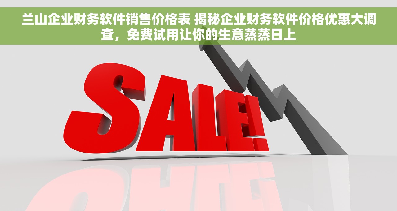 兰山企业财务软件销售价格表 揭秘企业财务软件价格优惠大调查，免费试用让你的生意蒸蒸日上