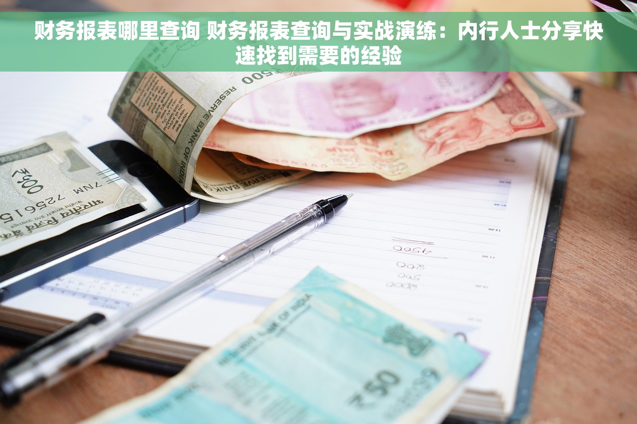 财务报表哪里查询 财务报表查询与实战演练：内行人士分享快速找到需要的经验