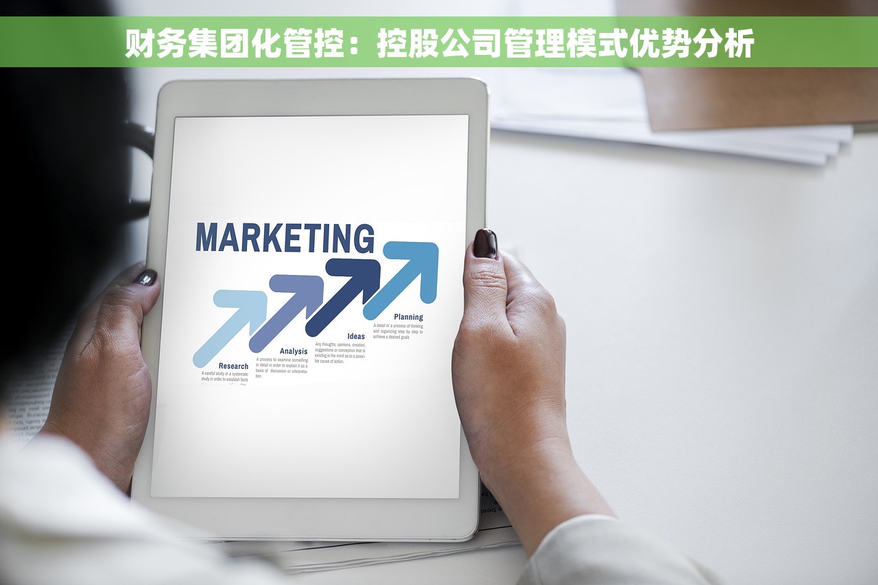 财务集团化管控：控股公司管理模式优势分析
