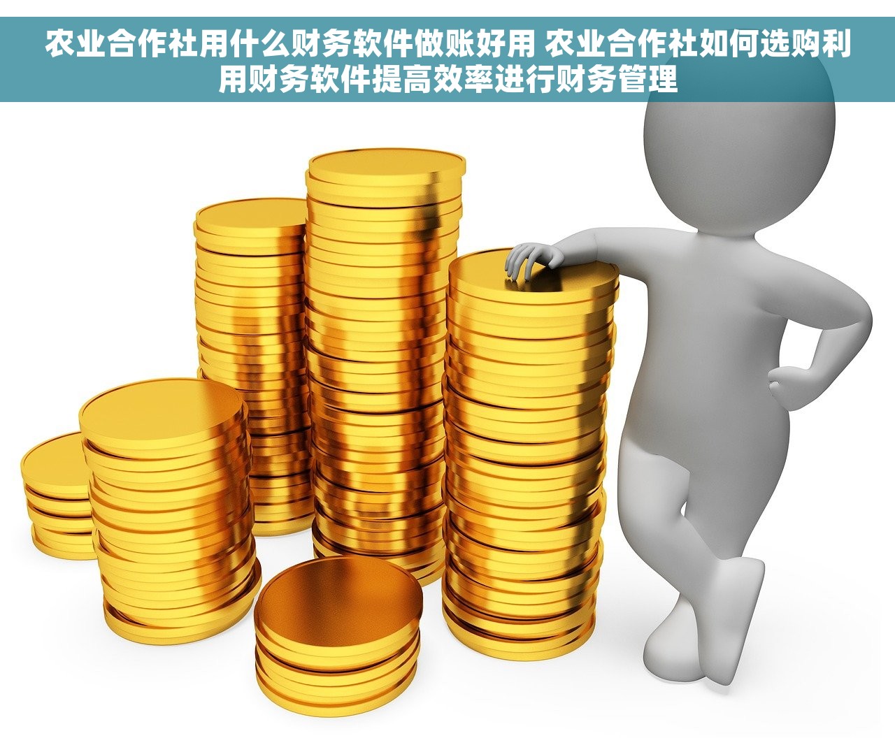 农业合作社用什么财务软件做账好用 农业合作社如何选购利用财务软件提高效率进行财务管理