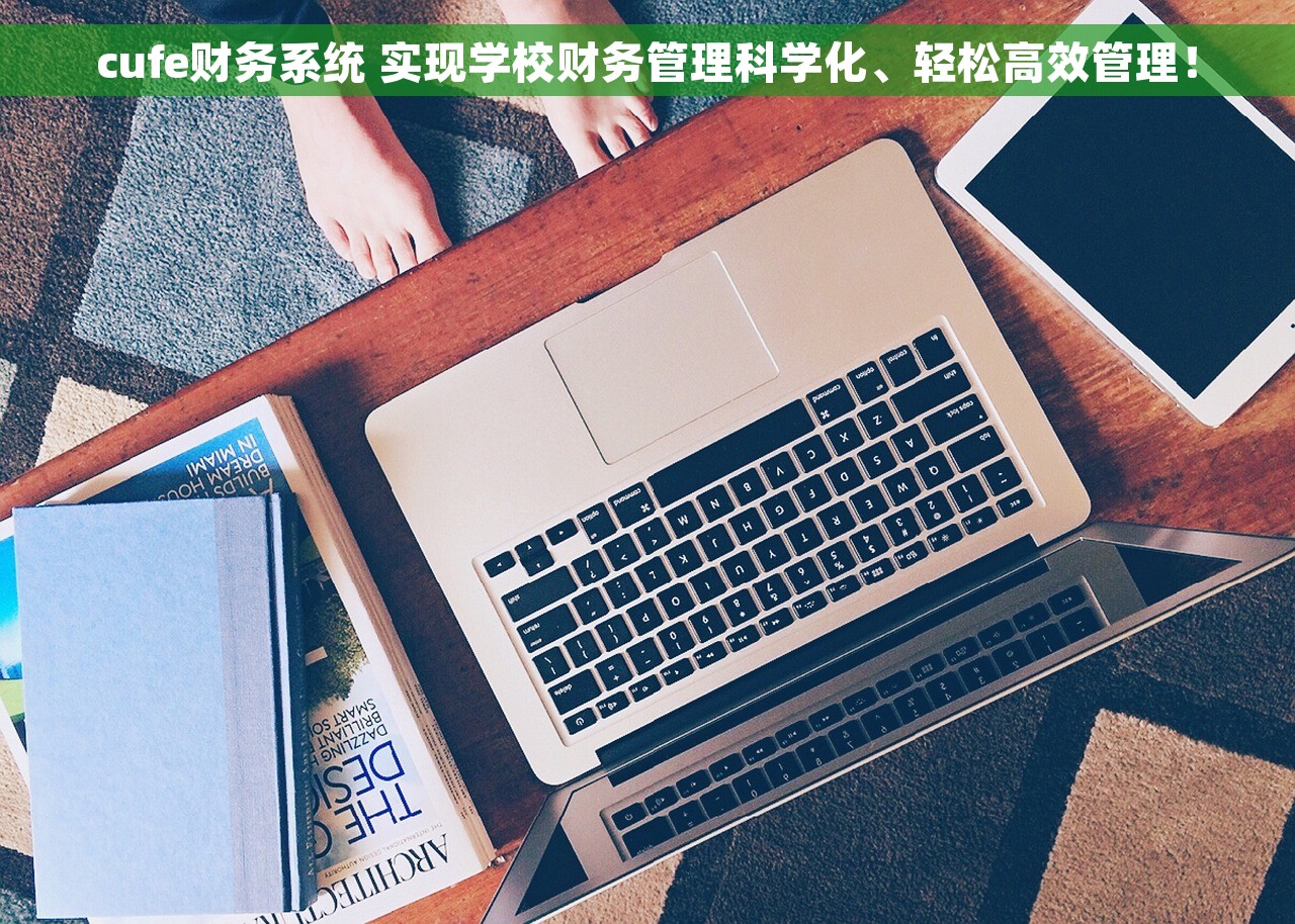 cufe财务系统 实现学校财务管理科学化、轻松高效管理！
