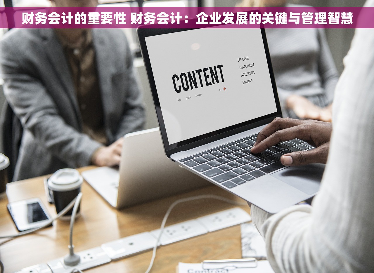 财务会计的重要性 财务会计：企业发展的关键与管理智慧