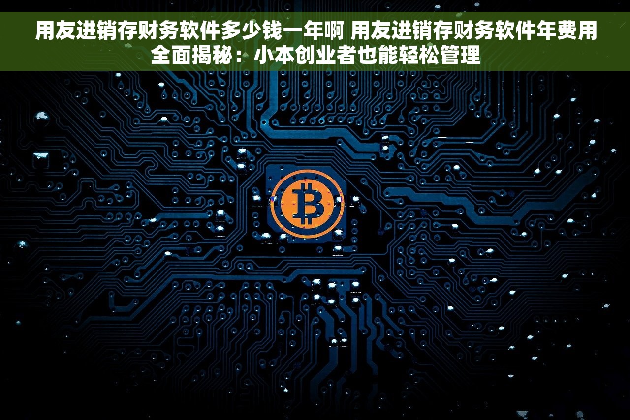 用友进销存财务软件多少钱一年啊 用友进销存财务软件年费用全面揭秘：小本创业者也能轻松管理