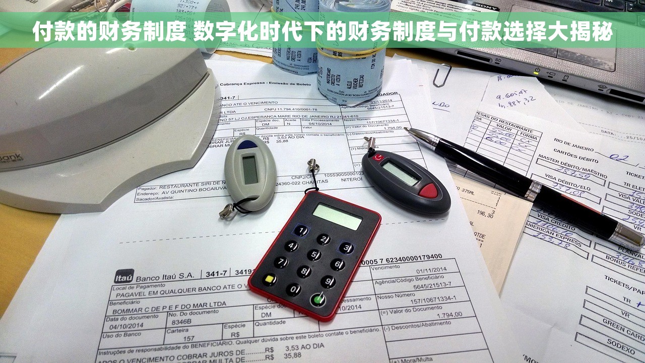 付款的财务制度 数字化时代下的财务制度与付款选择大揭秘