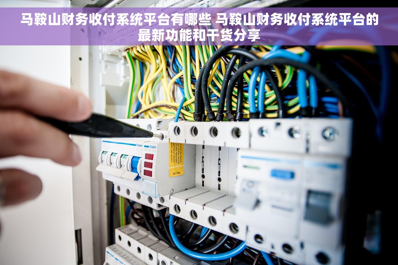 马鞍山财务收付系统平台有哪些 马鞍山财务收付系统平台的最新功能和干货分享
