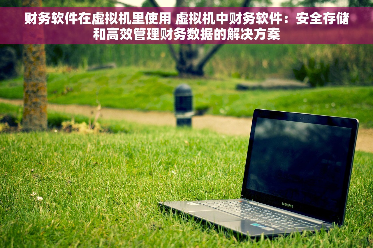 财务软件在虚拟机里使用 虚拟机中财务软件：安全存储和高效管理财务数据的解决方案