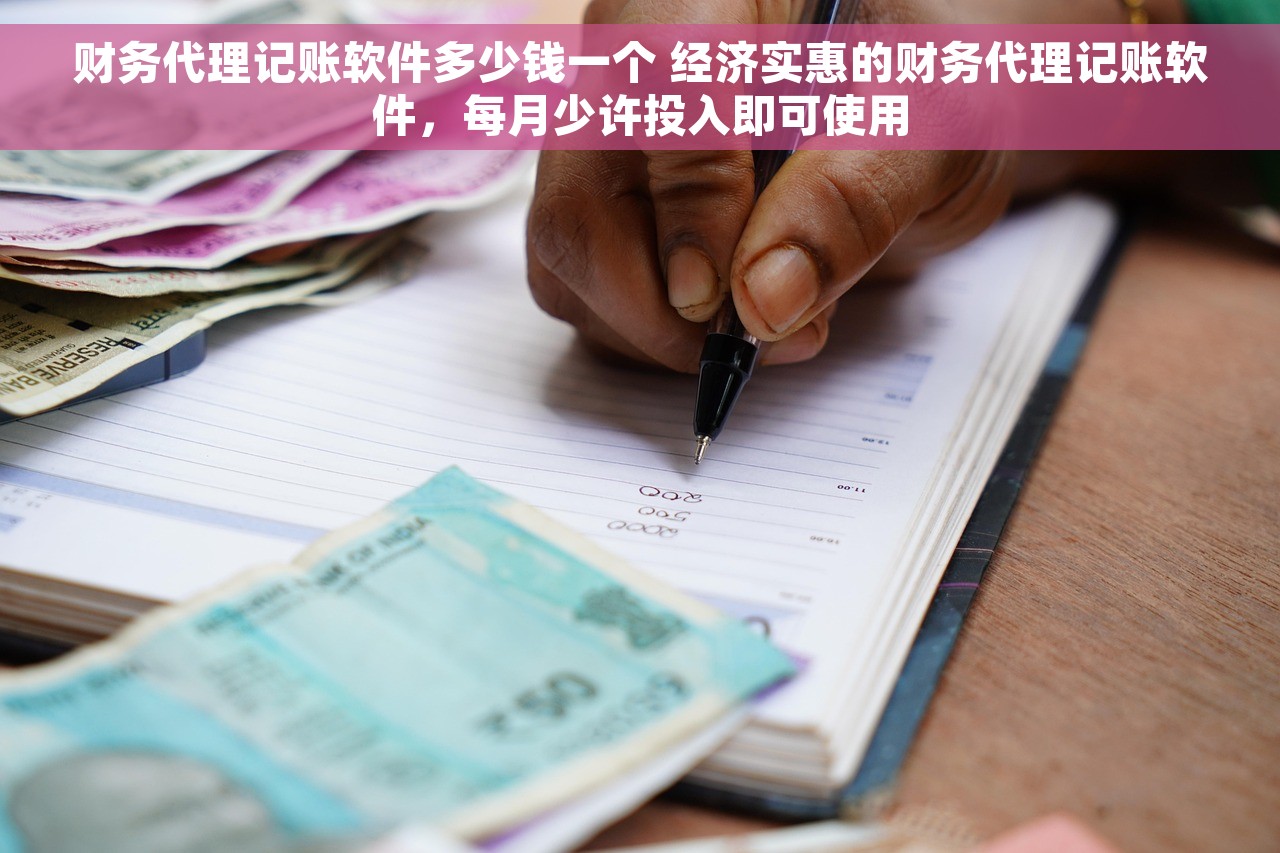 财务代理记账软件多少钱一个 经济实惠的财务代理记账软件，每月少许投入即可使用