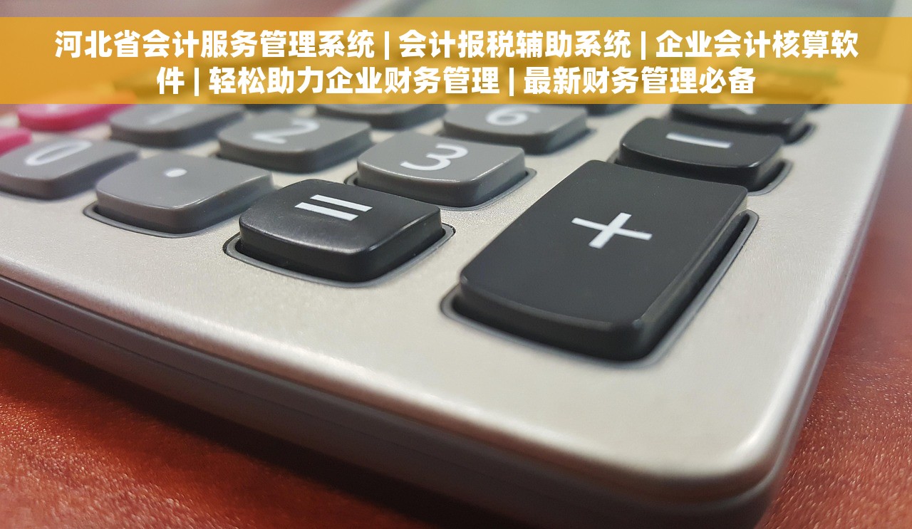 河北省会计服务管理系统 | 会计报税辅助系统 | 企业会计核算软件 | 轻松助力企业财务管理 | 最新财务管理必备
