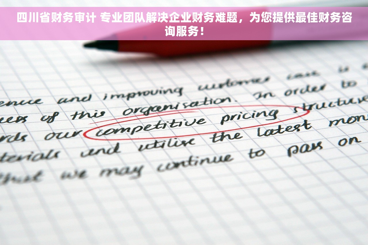四川省财务审计 专业团队解决企业财务难题，为您提供最佳财务咨询服务！