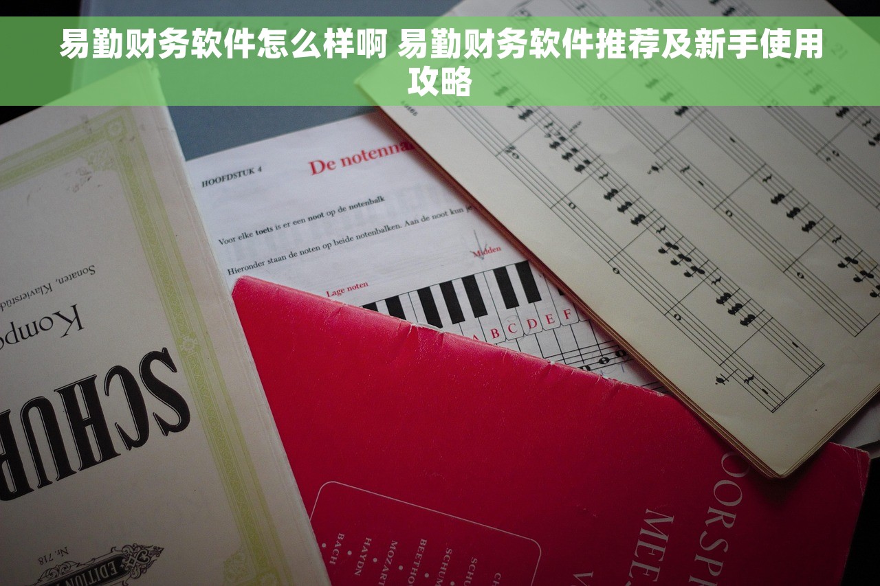 易勤财务软件怎么样啊 易勤财务软件推荐及新手使用攻略