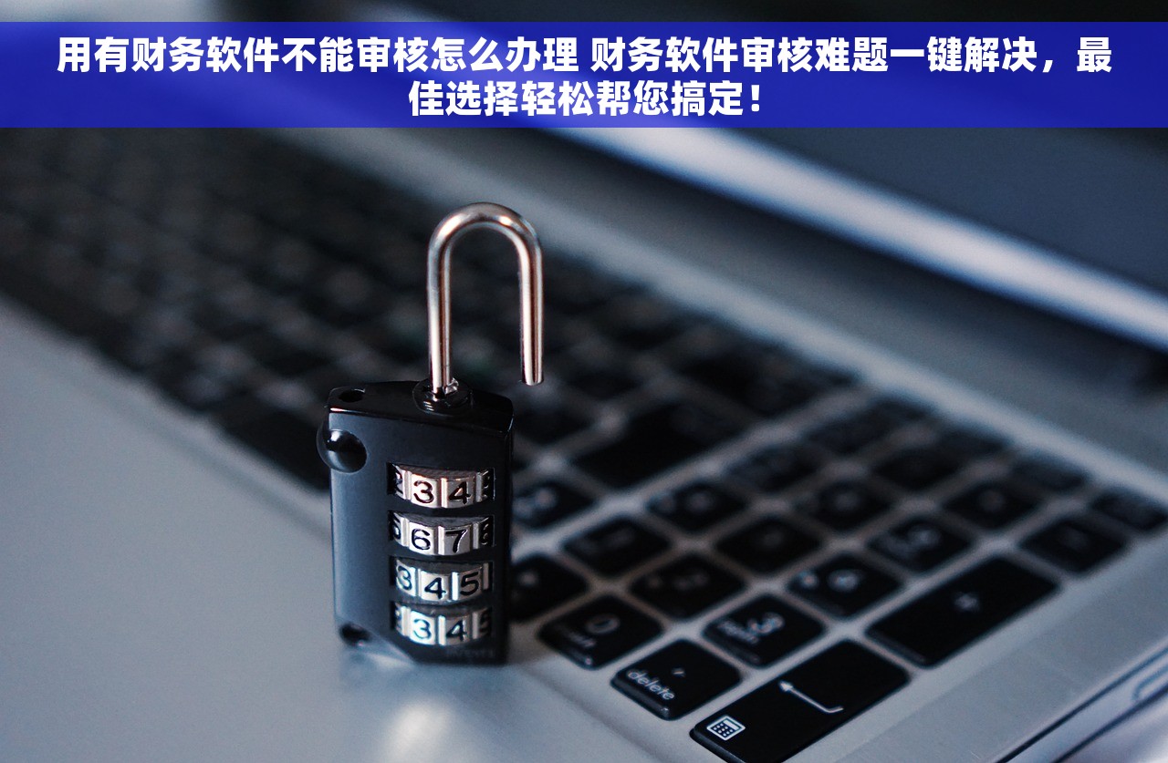 用有财务软件不能审核怎么办理 财务软件审核难题一键解决，最佳选择轻松帮您搞定！