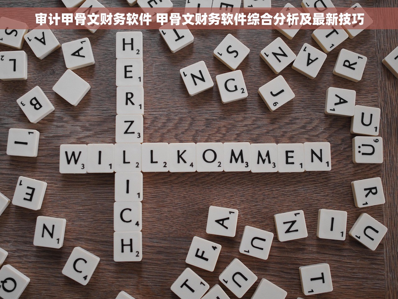 审计甲骨文财务软件 甲骨文财务软件综合分析及最新技巧