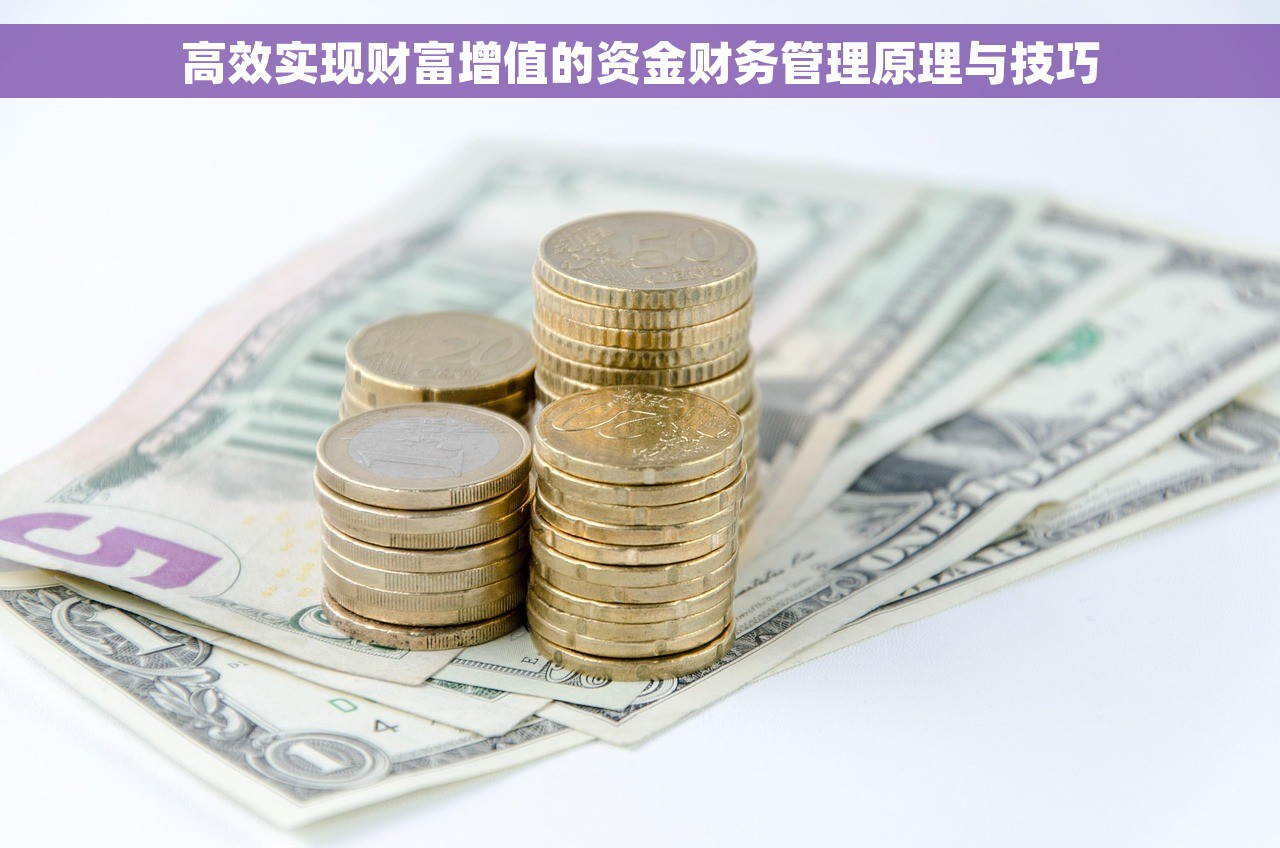 高效实现财富增值的资金财务管理原理与技巧