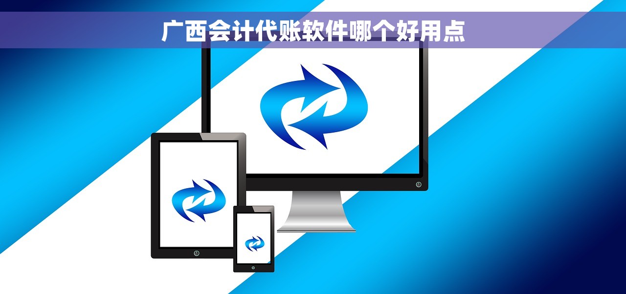 广西会计代账软件哪个好用点