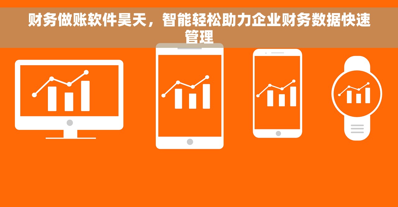 财务做账软件昊天，智能轻松助力企业财务数据快速管理