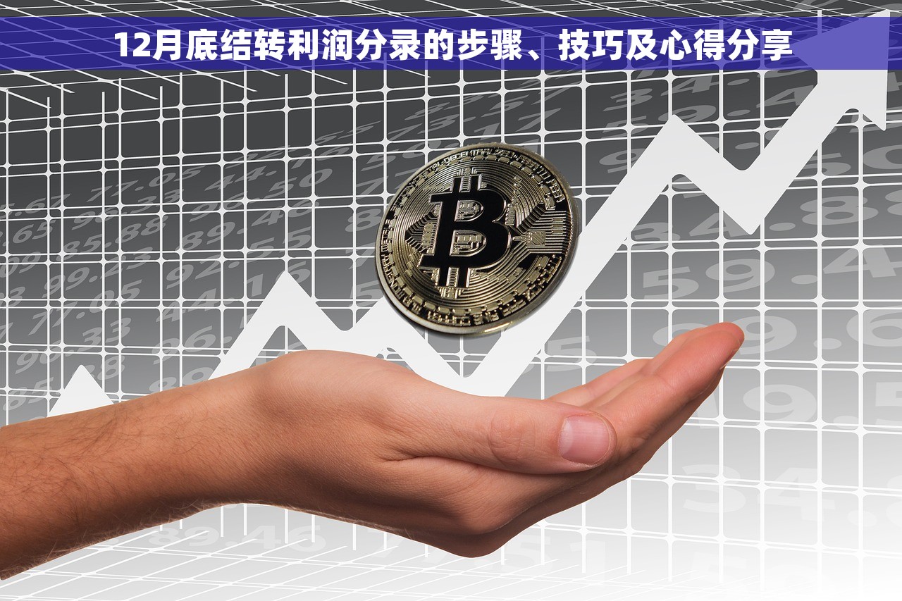 12月底结转利润分录的步骤、技巧及心得分享