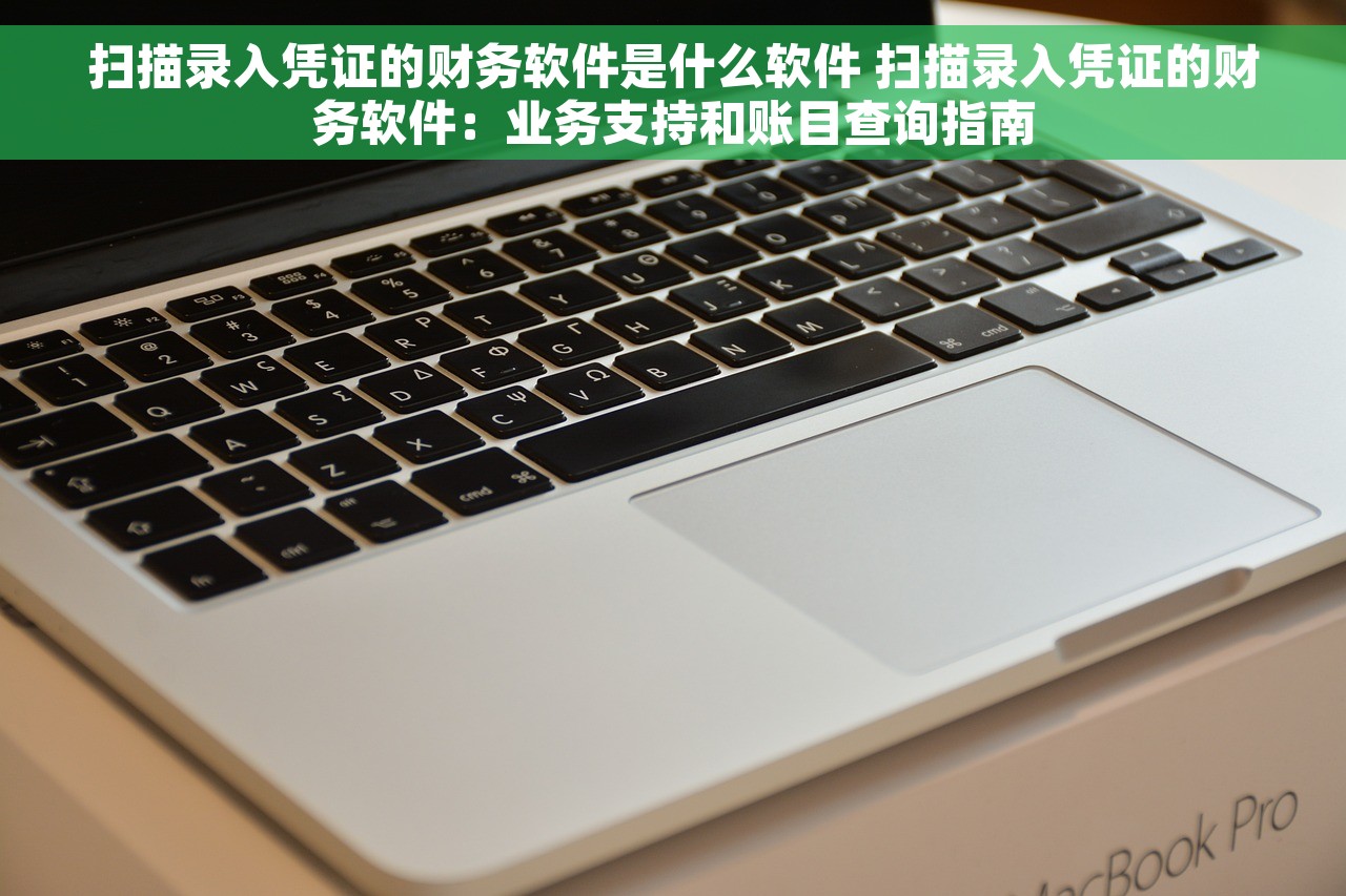 扫描录入凭证的财务软件是什么软件 扫描录入凭证的财务软件：业务支持和账目查询指南