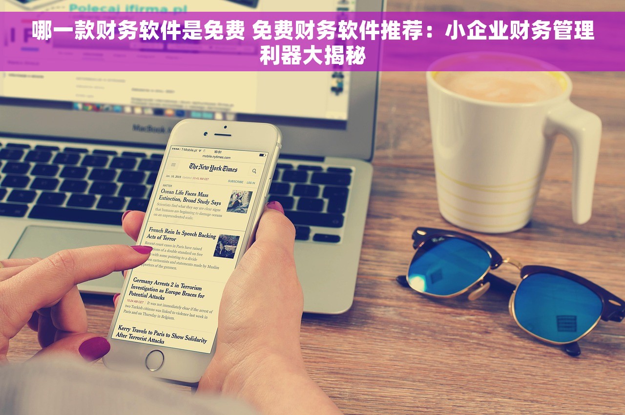 哪一款财务软件是免费 免费财务软件推荐：小企业财务管理利器大揭秘