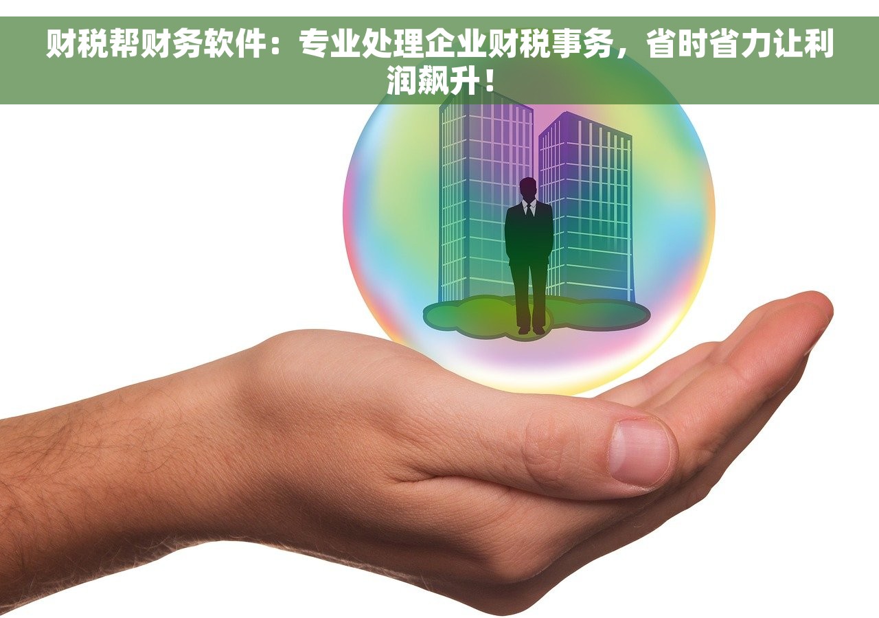 财税帮财务软件：专业处理企业财税事务，省时省力让利润飙升！