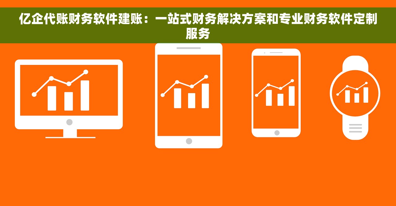 亿企代账财务软件建账：一站式财务解决方案和专业财务软件定制服务
