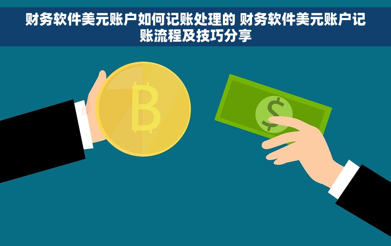 财务软件美元账户如何记账处理的 财务软件美元账户记账流程及技巧分享
