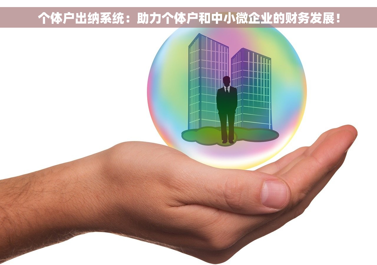 个体户出纳系统：助力个体户和中小微企业的财务发展！