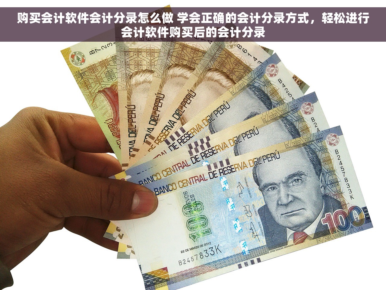 购买会计软件会计分录怎么做 学会正确的会计分录方式，轻松进行会计软件购买后的会计分录