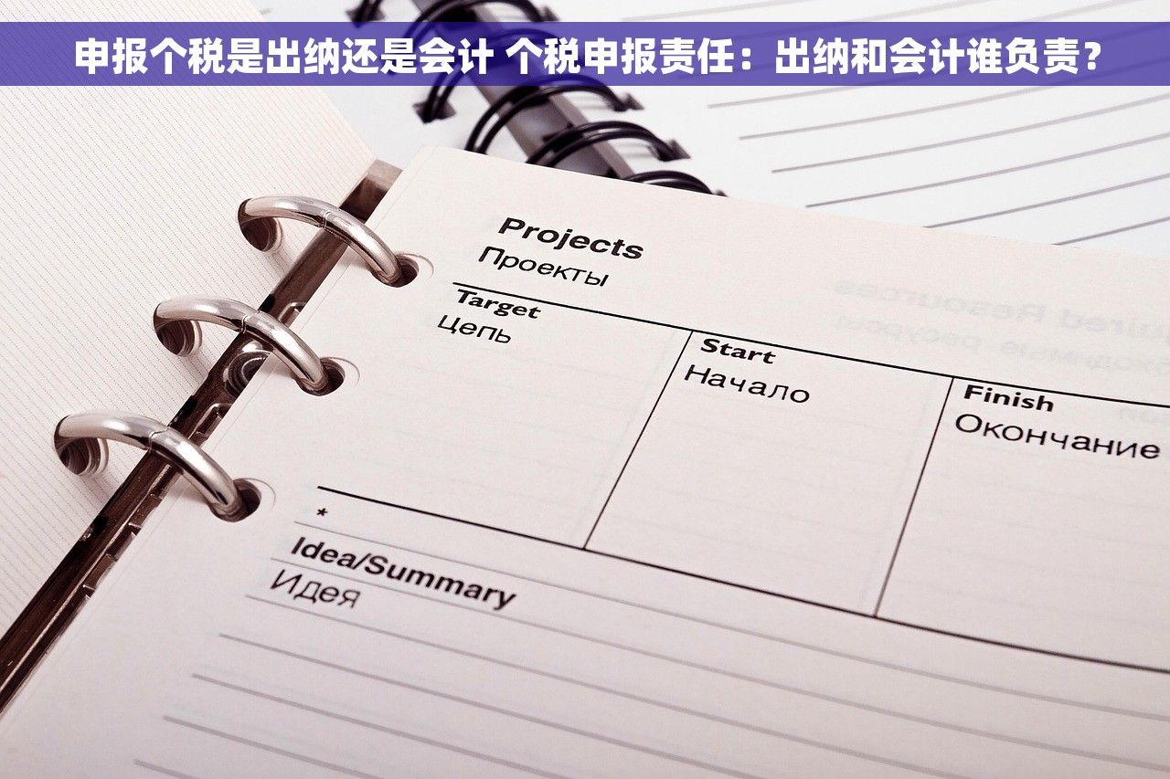 申报个税是出纳还是会计 个税申报责任：出纳和会计谁负责？