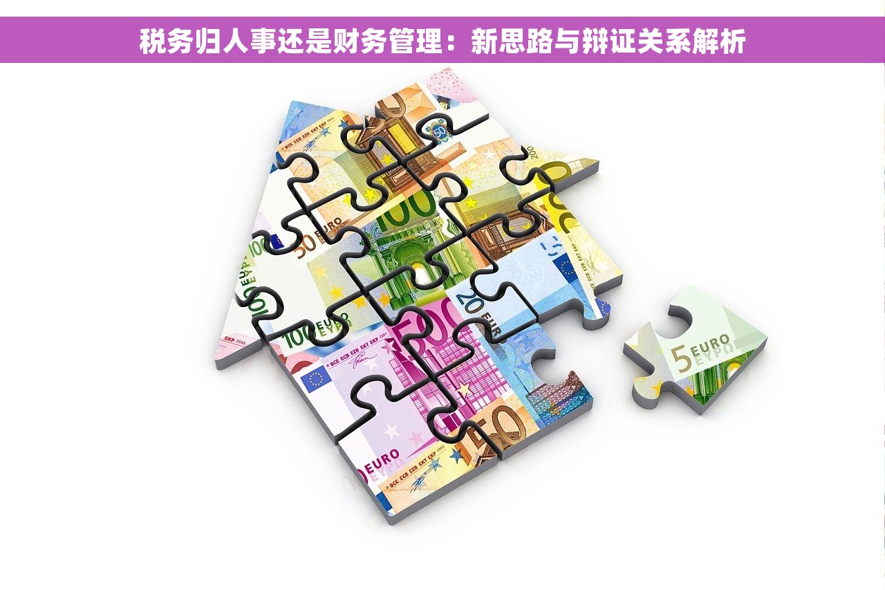 税务归人事还是财务管理：新思路与辩证关系解析