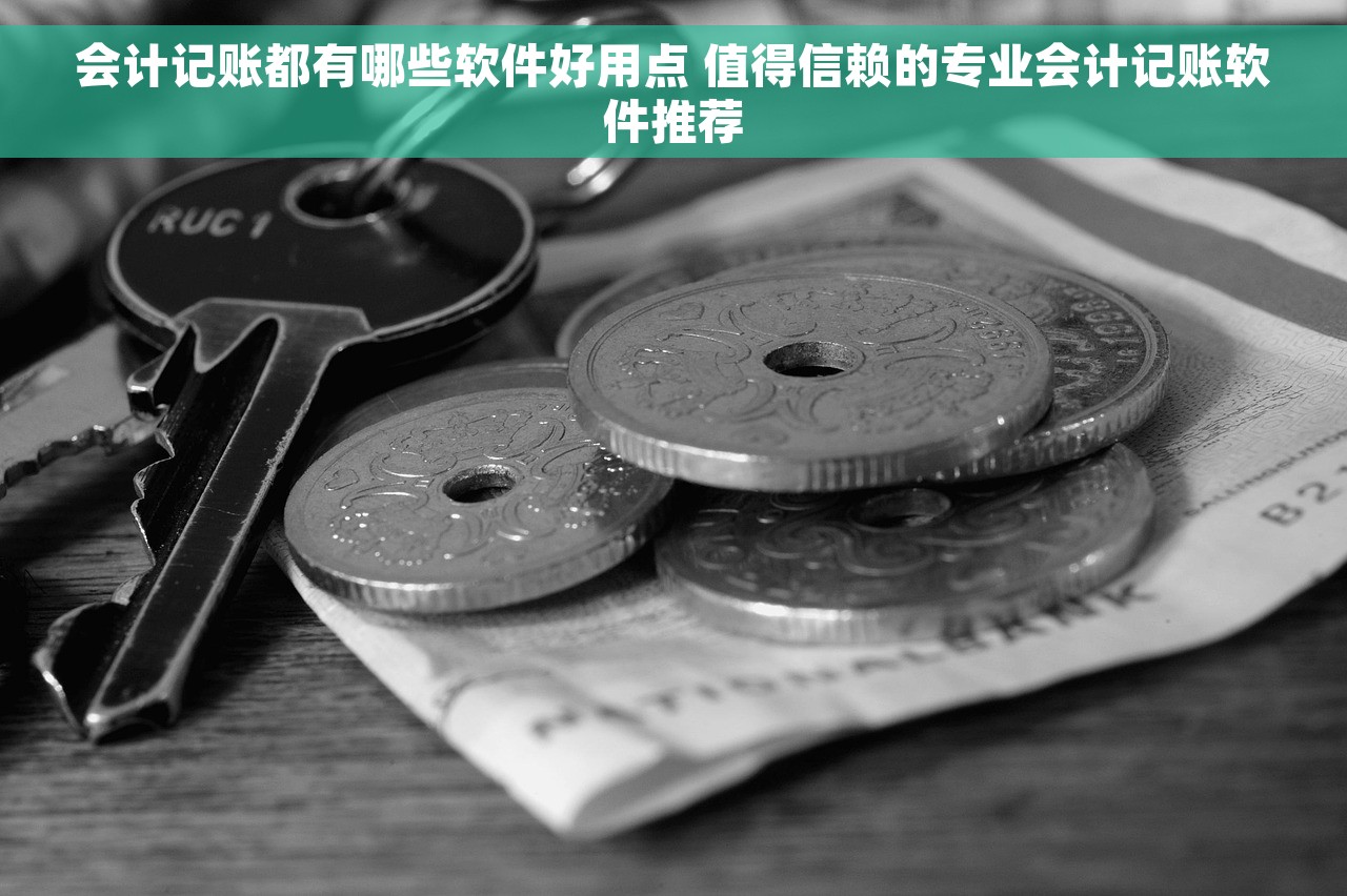 会计记账都有哪些软件好用点 值得信赖的专业会计记账软件推荐