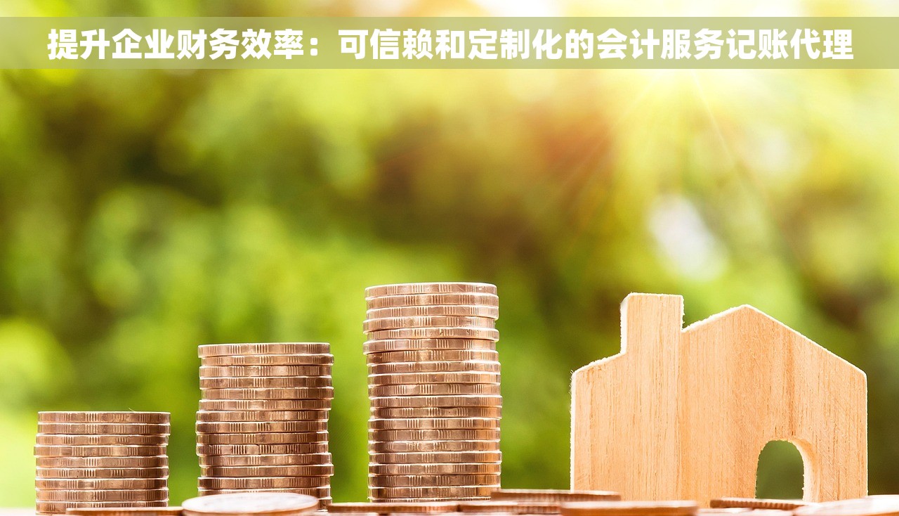 提升企业财务效率：可信赖和定制化的会计服务记账代理