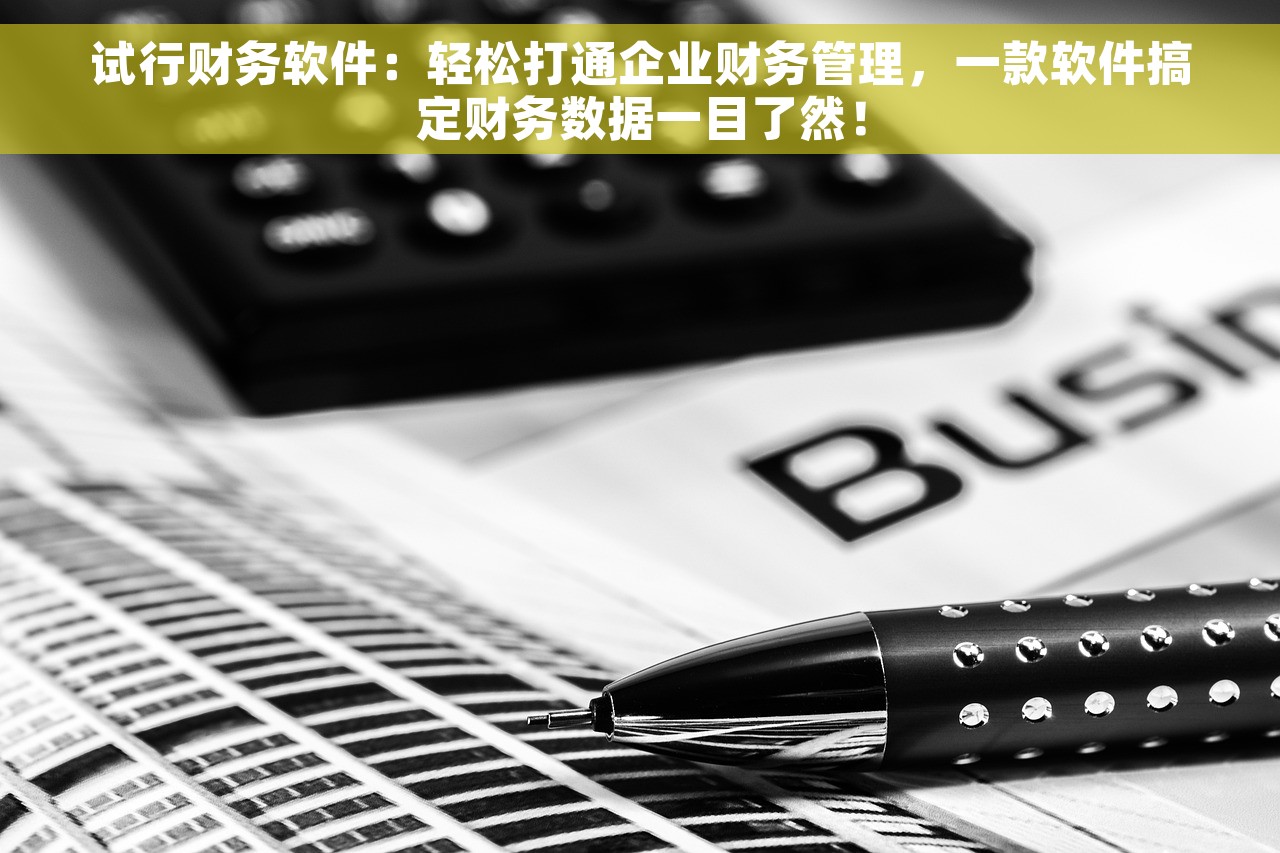 试行财务软件：轻松打通企业财务管理，一款软件搞定财务数据一目了然！