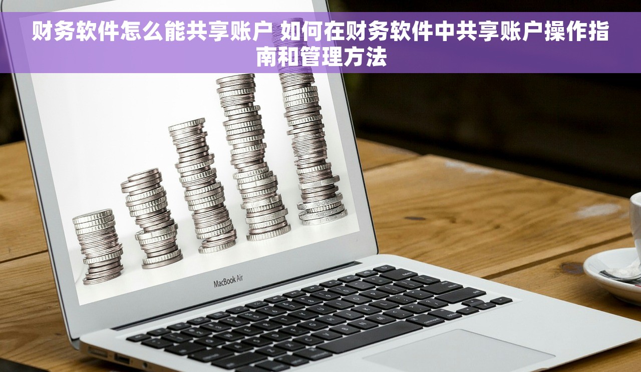 财务软件怎么能共享账户 如何在财务软件中共享账户操作指南和管理方法