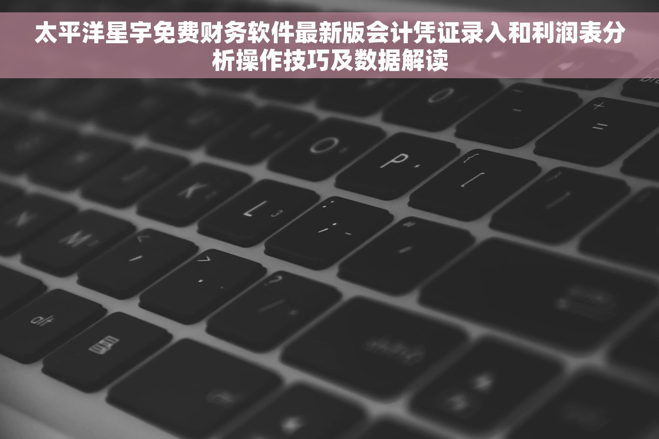 太平洋星宇免费财务软件最新版会计凭证录入和利润表分析操作技巧及数据解读